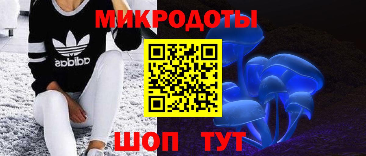 Псилоцибиновые грибы Psilocybe  Вход с VPN  Галлюциногенные грибы ЛСД  Великий Новгород 