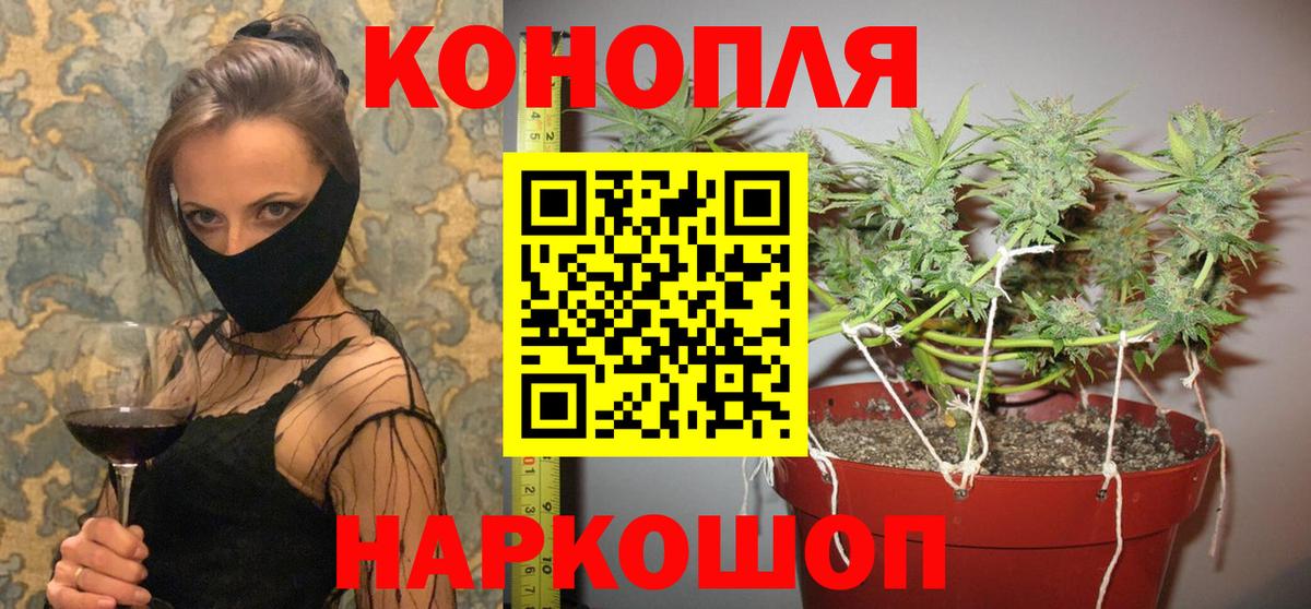 Канабис ГИДРОПОН  Марихуана LSD WEED  Вход с VPN  Великий Новгород  Шишки марихуана AK-47  Марихуана VHQ 
